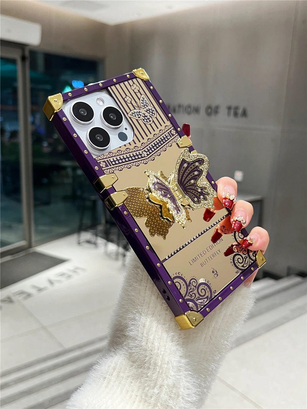 Butterfly Mirror Bracket Case