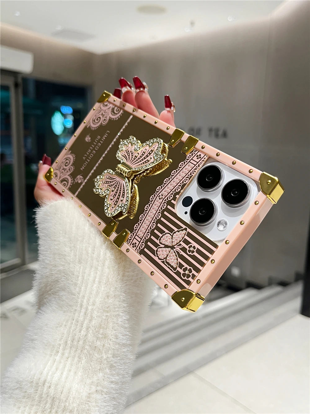 Butterfly Mirror Bracket Case