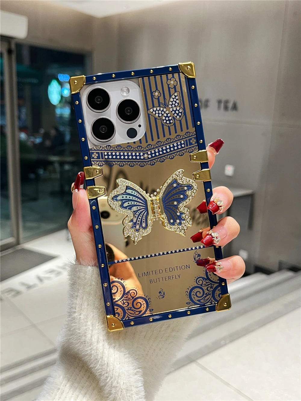 Butterfly Mirror Bracket Case