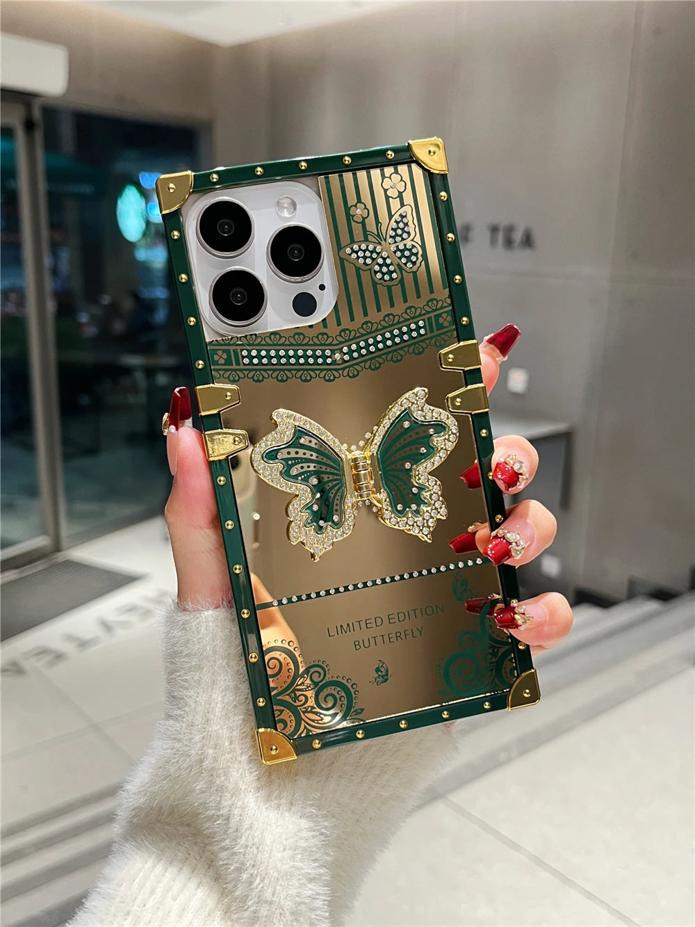 Butterfly Mirror Bracket Case