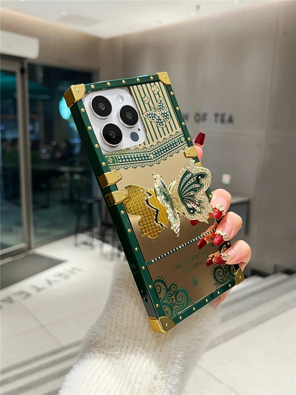 Butterfly Mirror Bracket Case