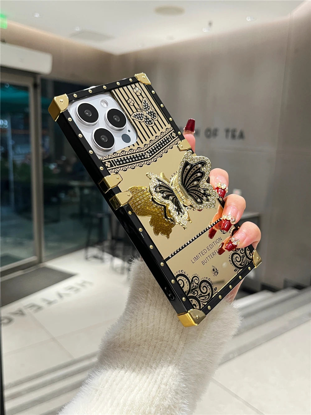 Butterfly Mirror Bracket Case