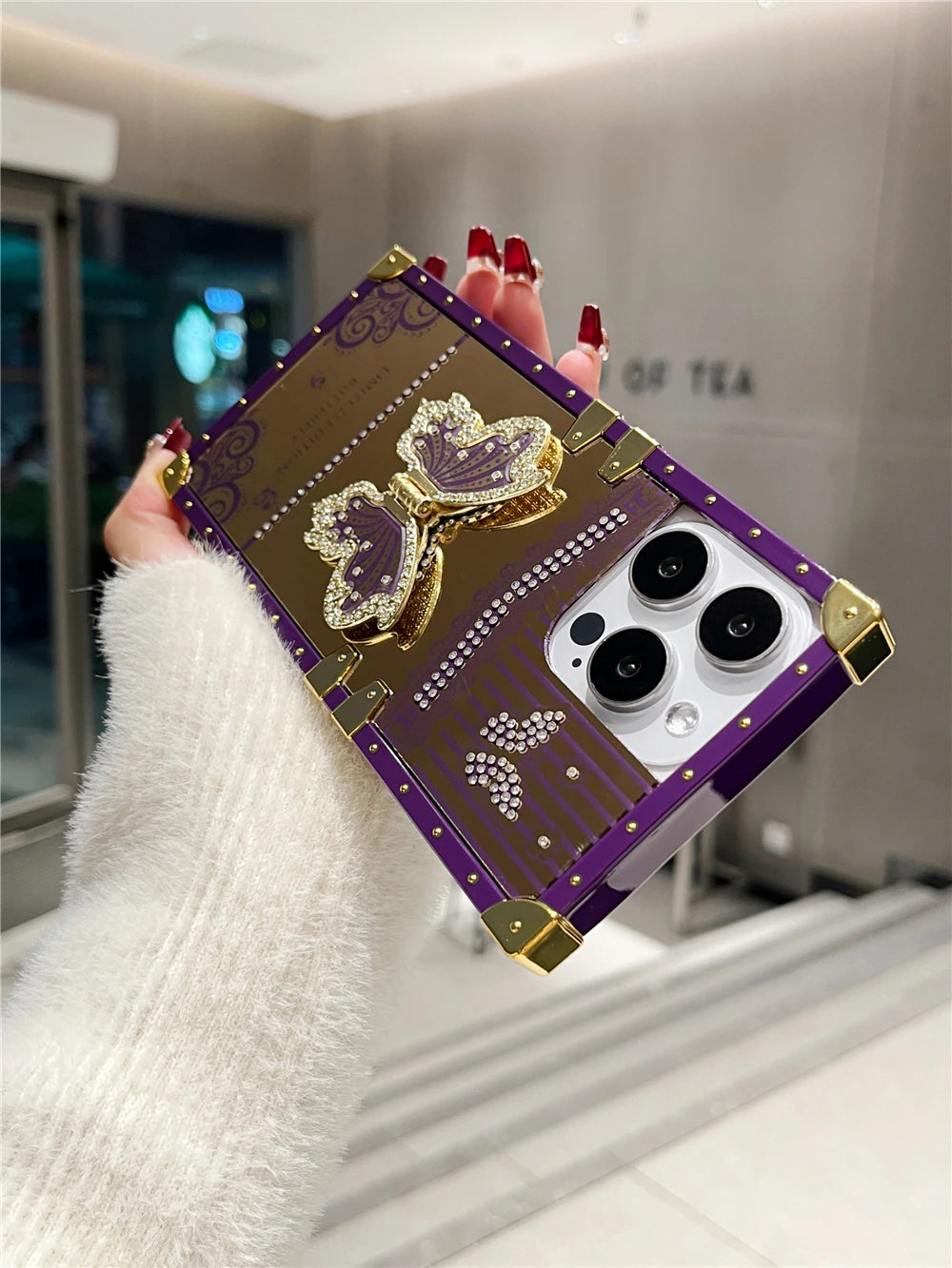 Butterfly Mirror Bracket Case