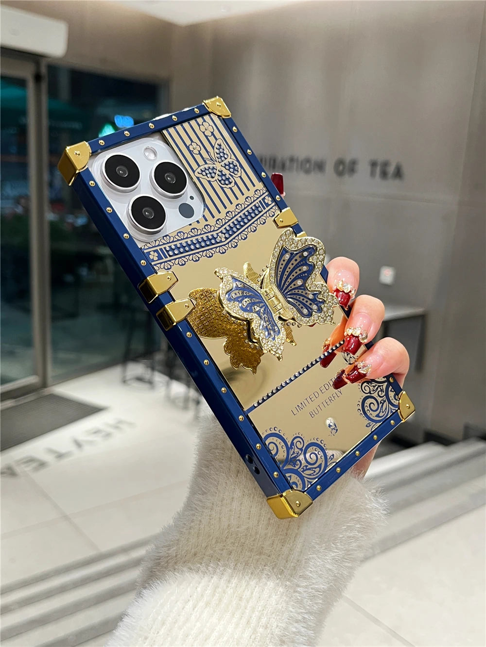 Butterfly Mirror Bracket Case