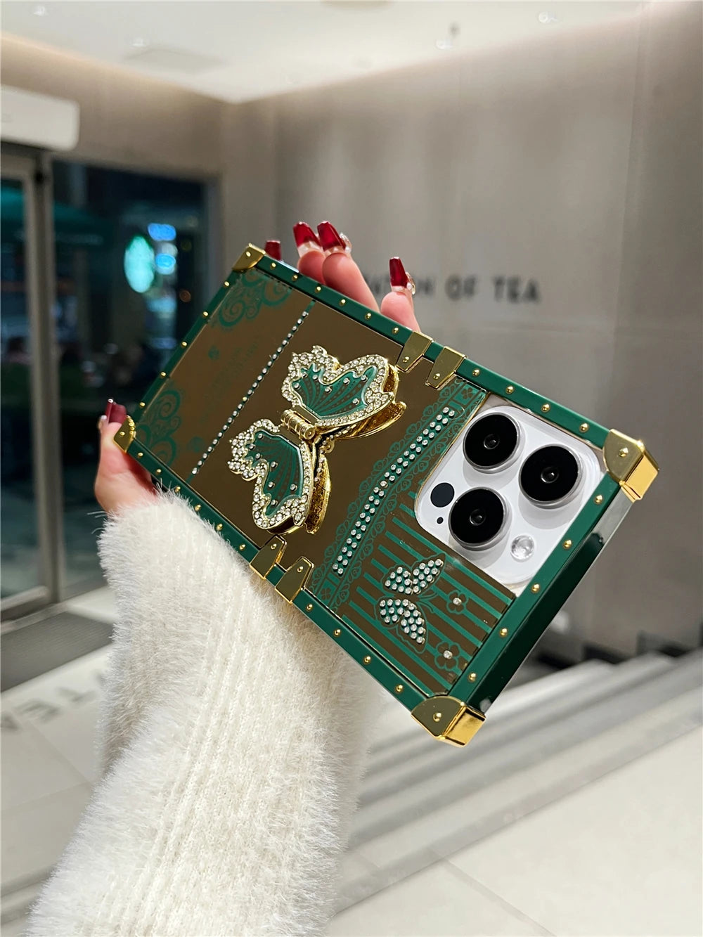 Butterfly Mirror Bracket Case