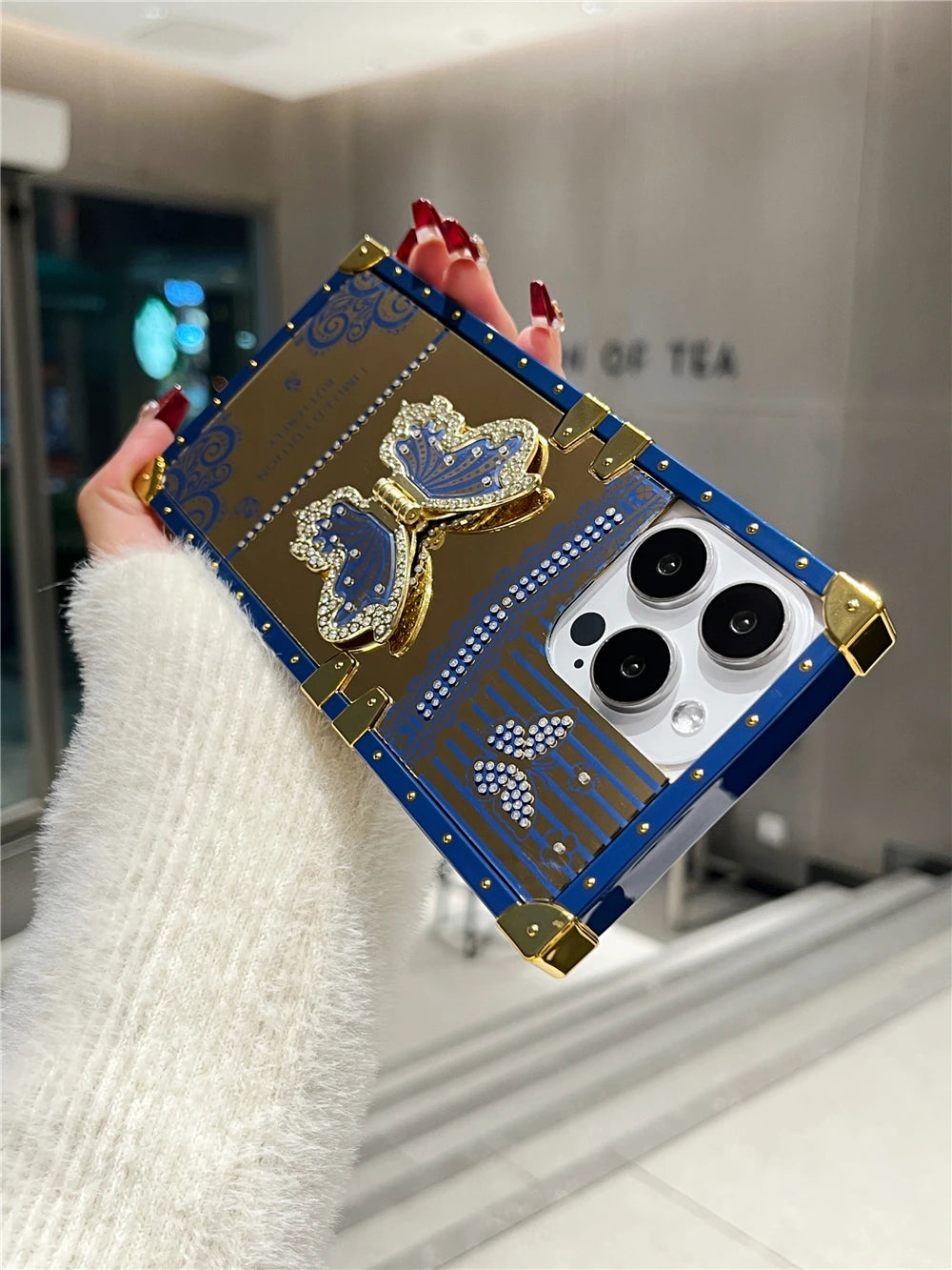 Butterfly Mirror Bracket Case